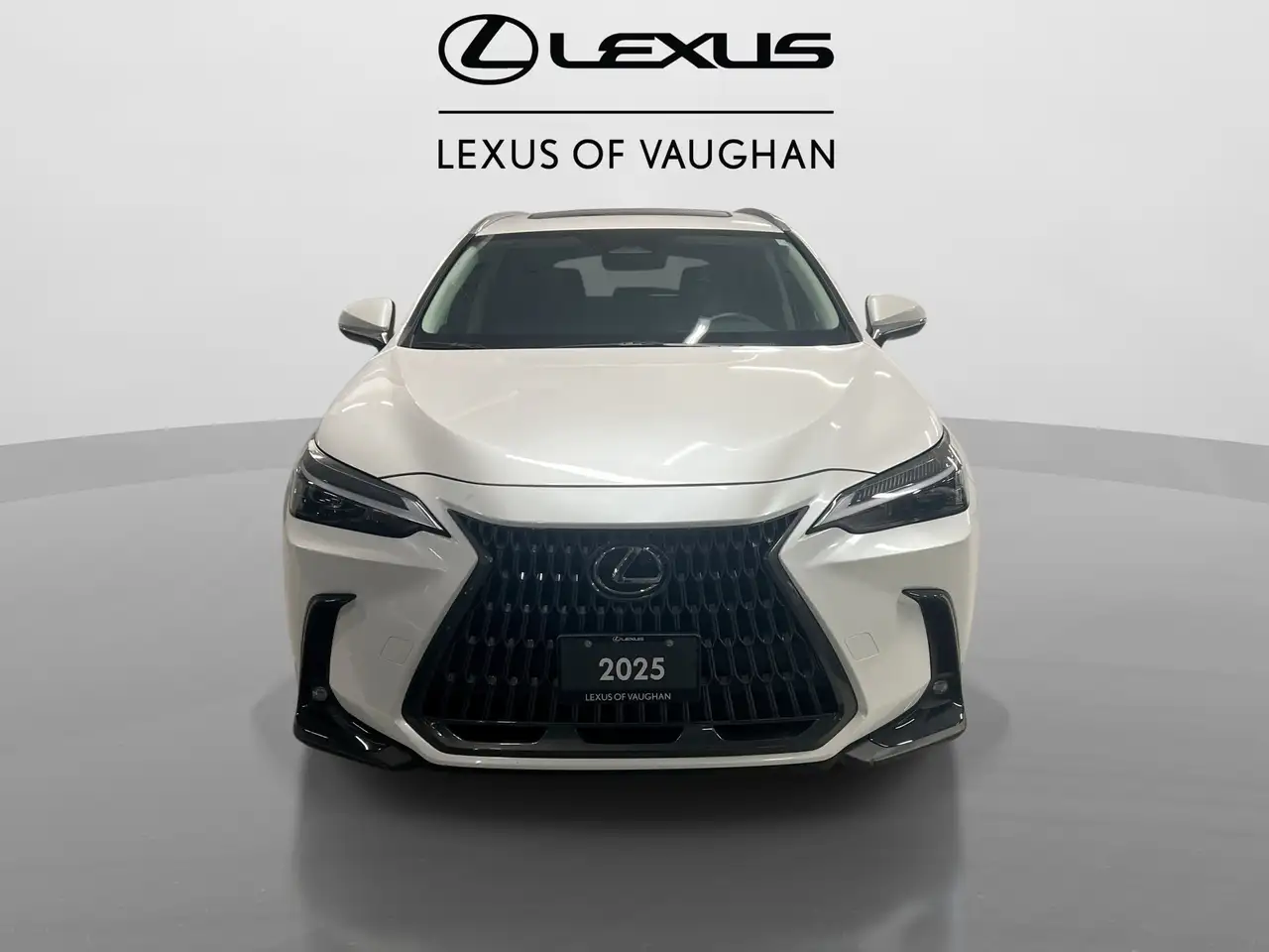 Lexus NX - Image 3