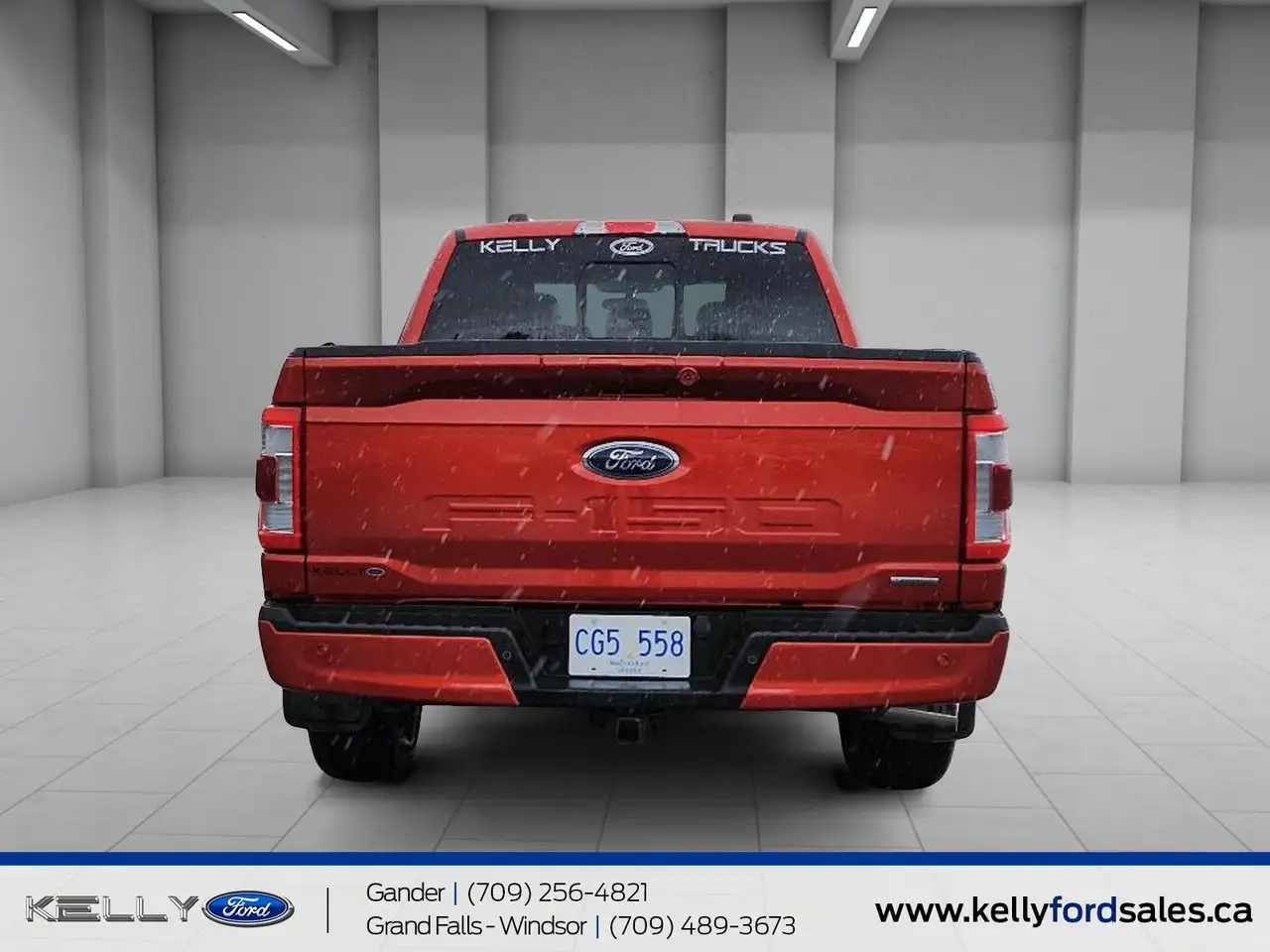 Ford F-150 - Image 3