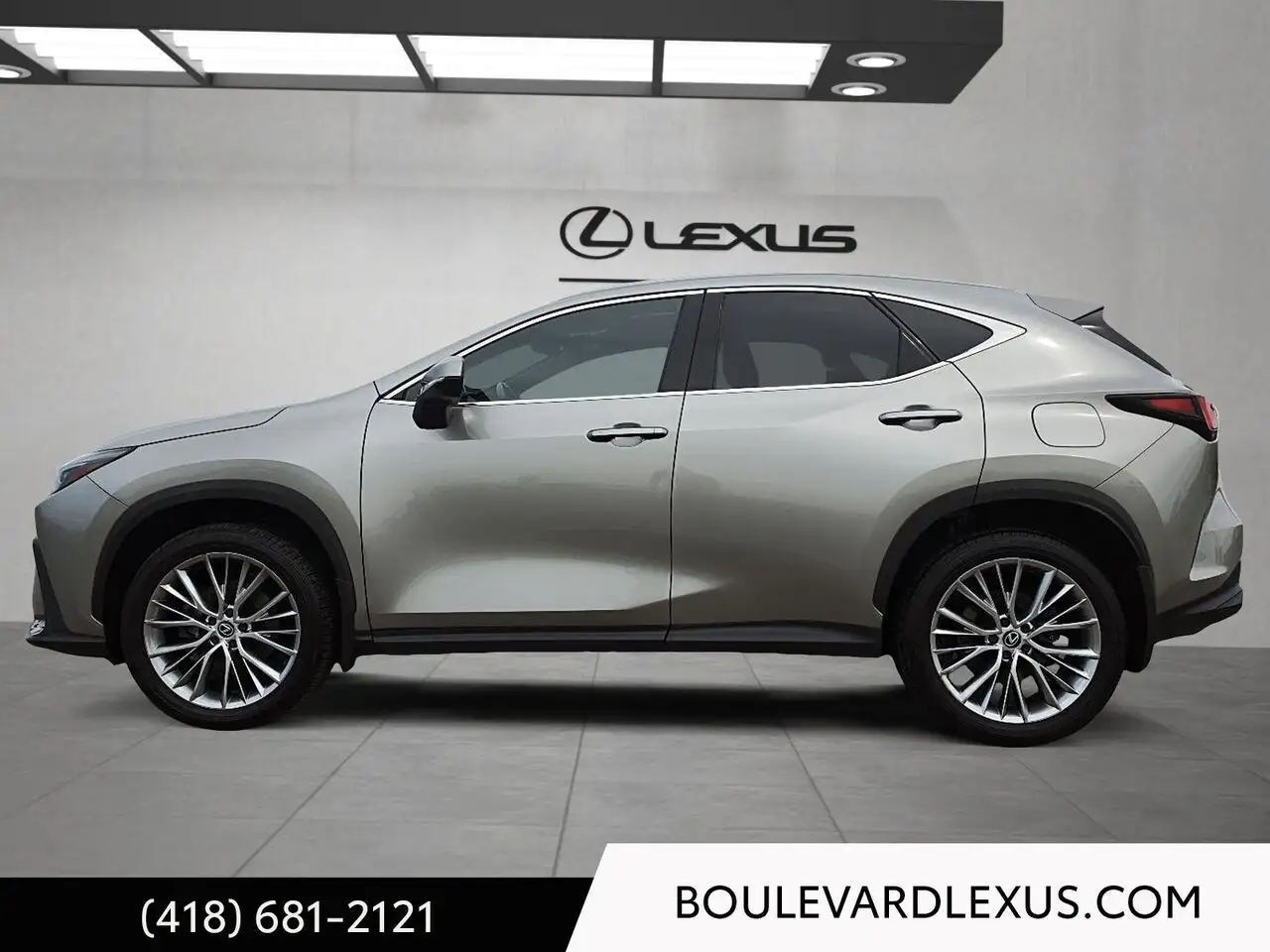 Lexus NX - Image 6