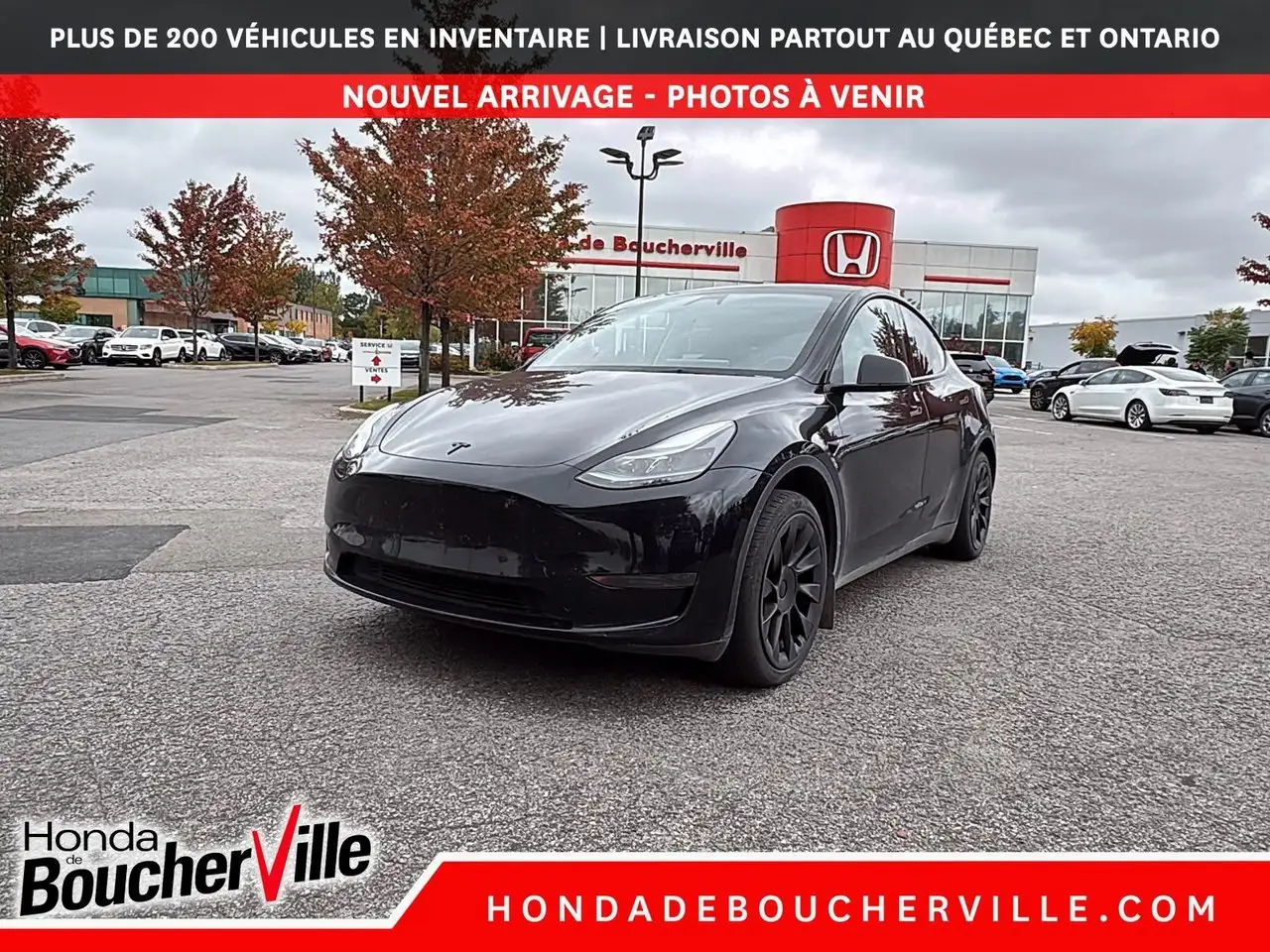 Tesla Model Y - Image 2