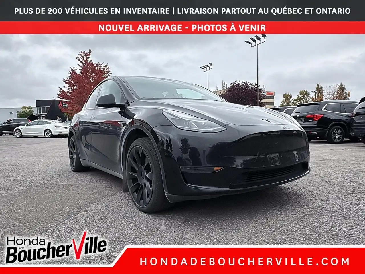 Tesla Model Y - Image 11