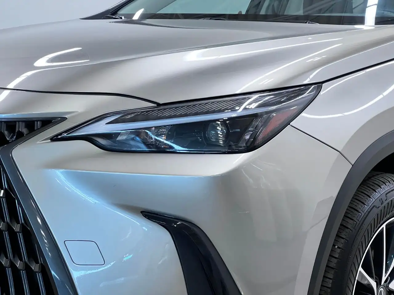 Lexus NX - Image 13