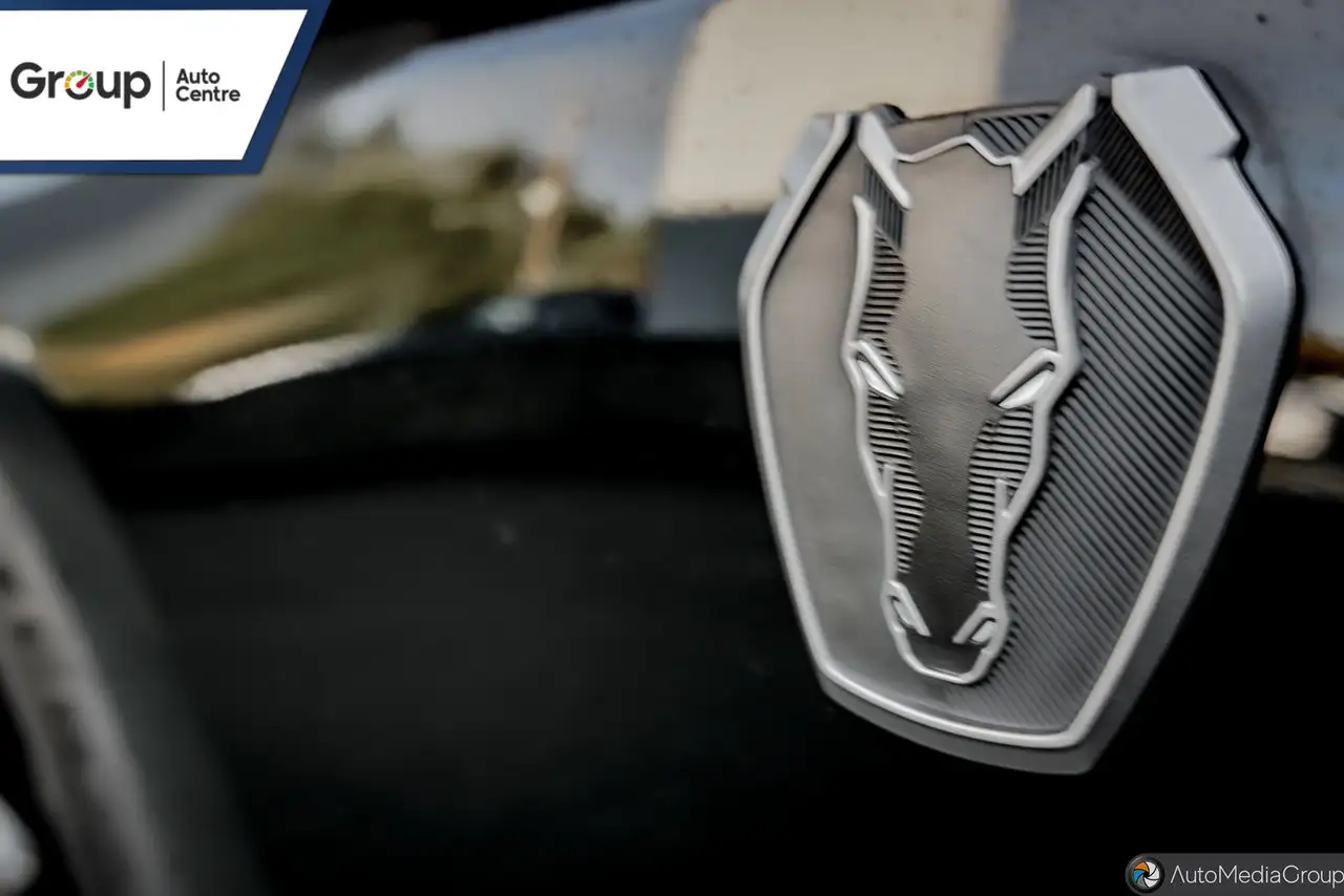 Ford Mustang - Image 20