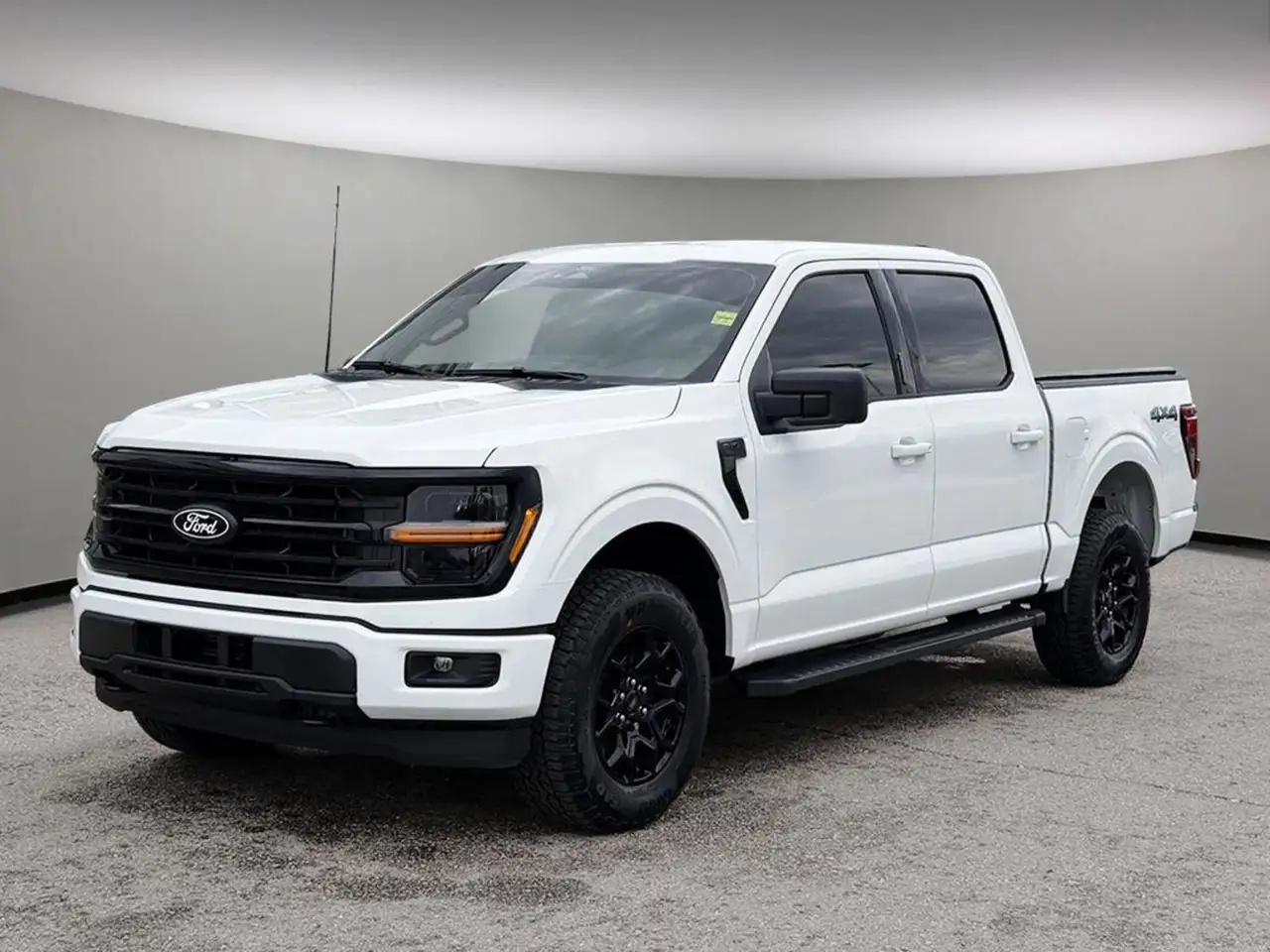 Ford F-150 - Image 1