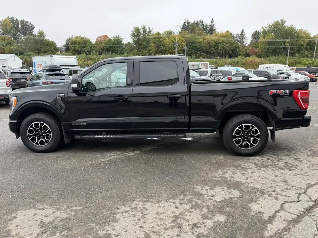Ford F-150 - Image 2