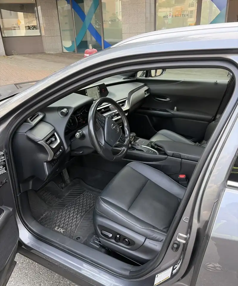 Lexus UX 250h - Image 2