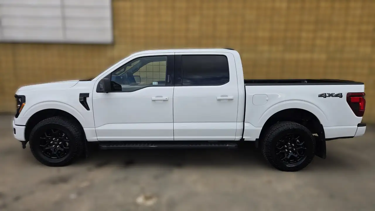 Ford F-150 - Image 3