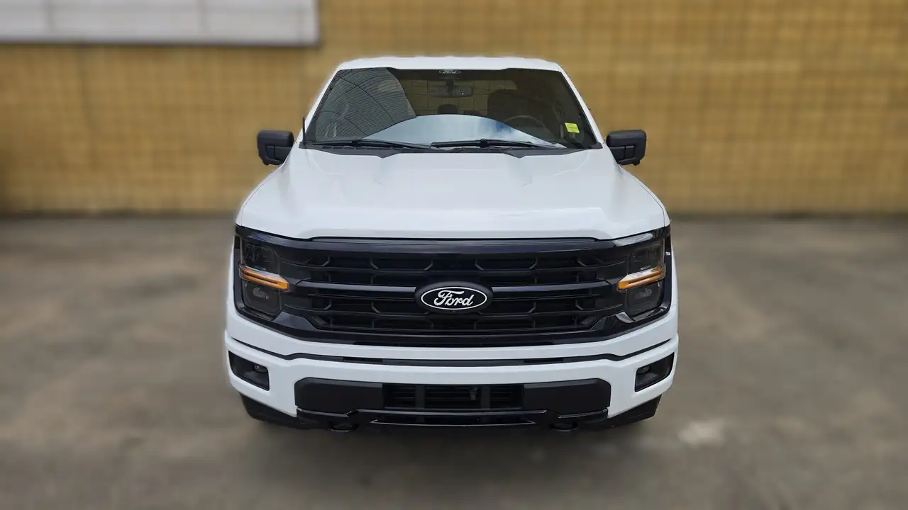 Ford F-150 - Image 2