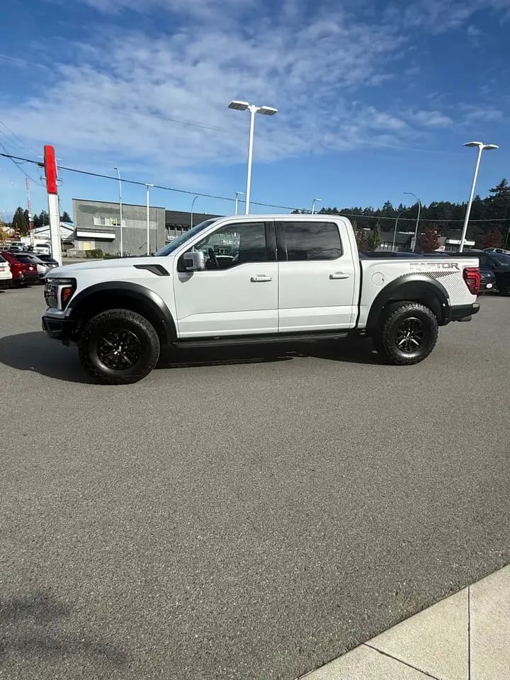Ford F-150 - Image 3