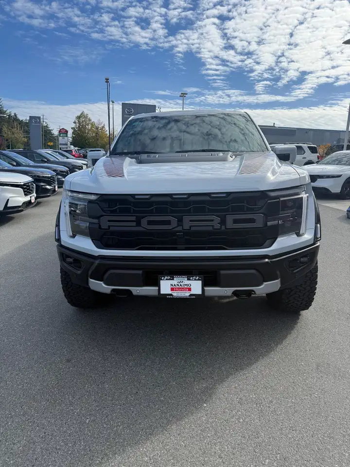 Ford F-150 - Image 4