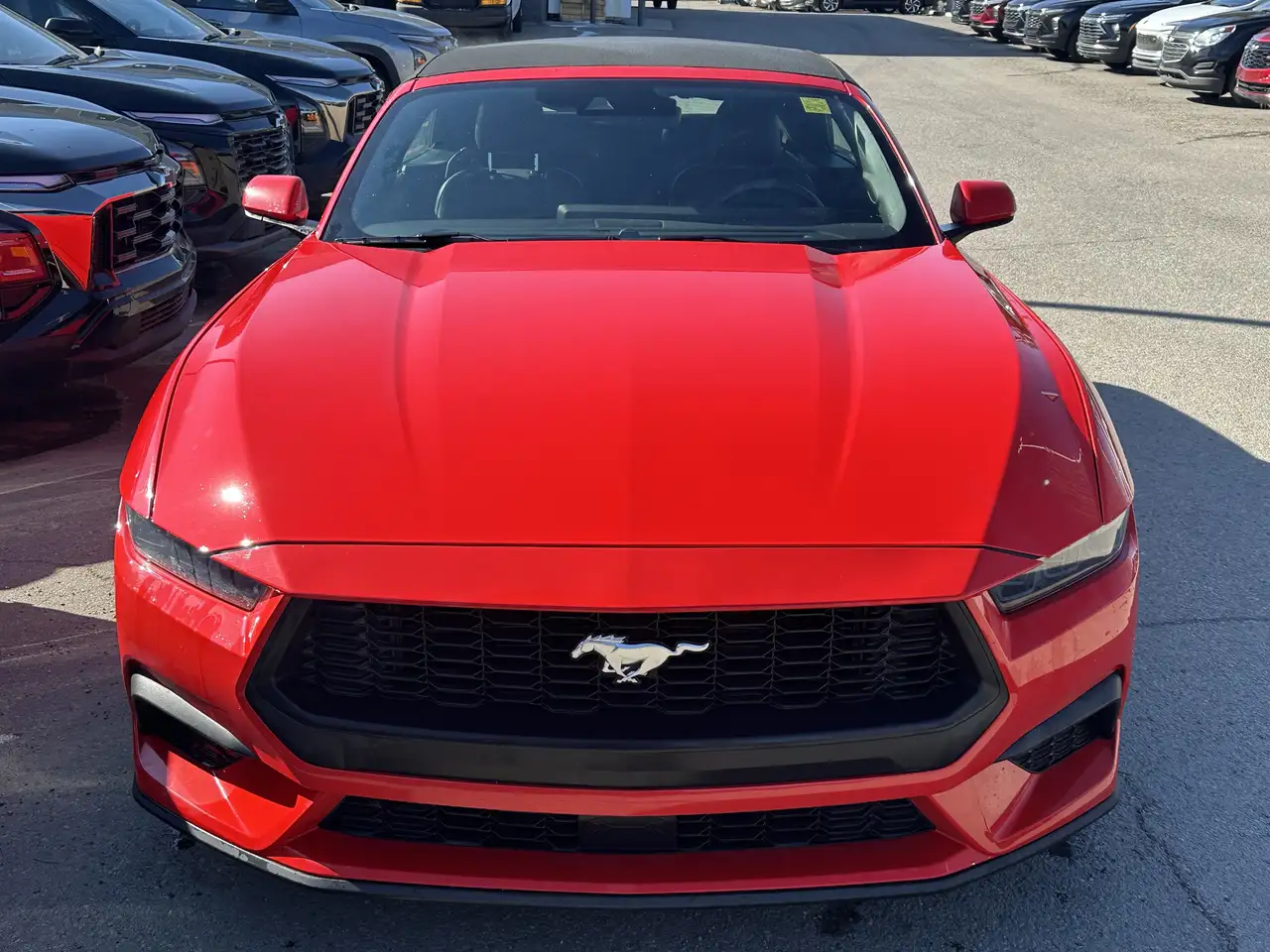 Ford Mustang - Image 2