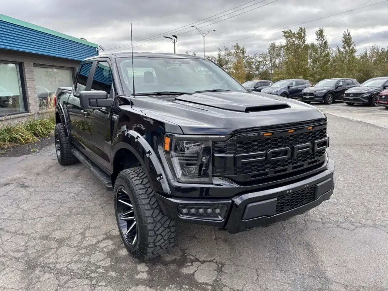 Ford F-150 - Image 31
