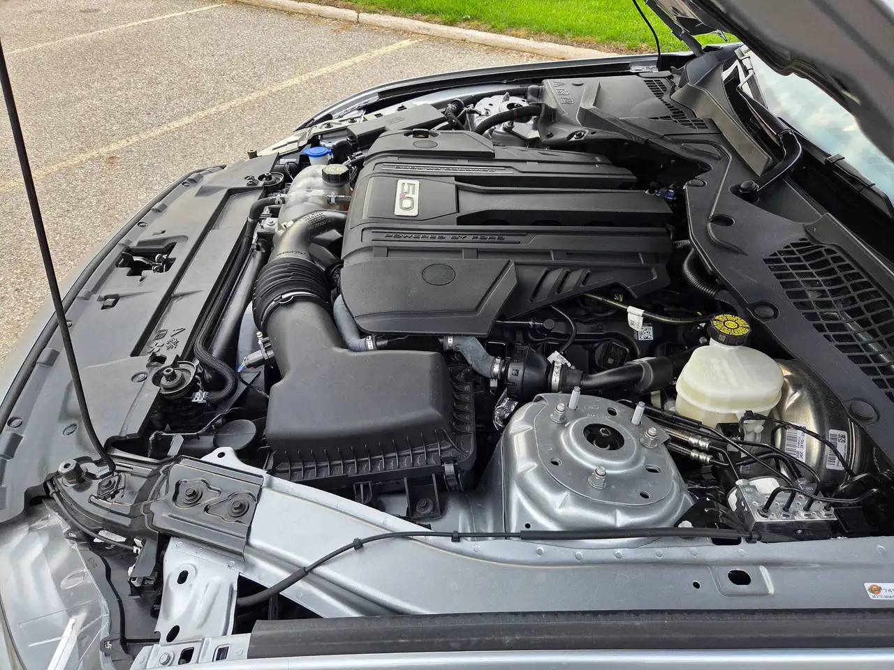Ford Mustang - Image 20