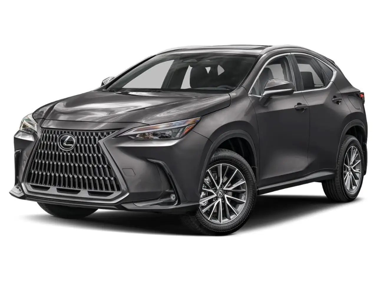Lexus NX 350h - Image 1