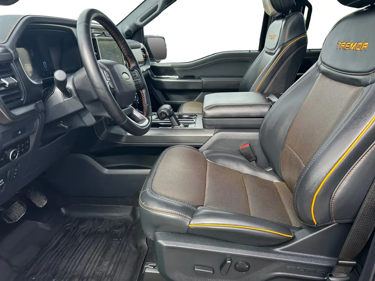 Ford F-150 - Image 14