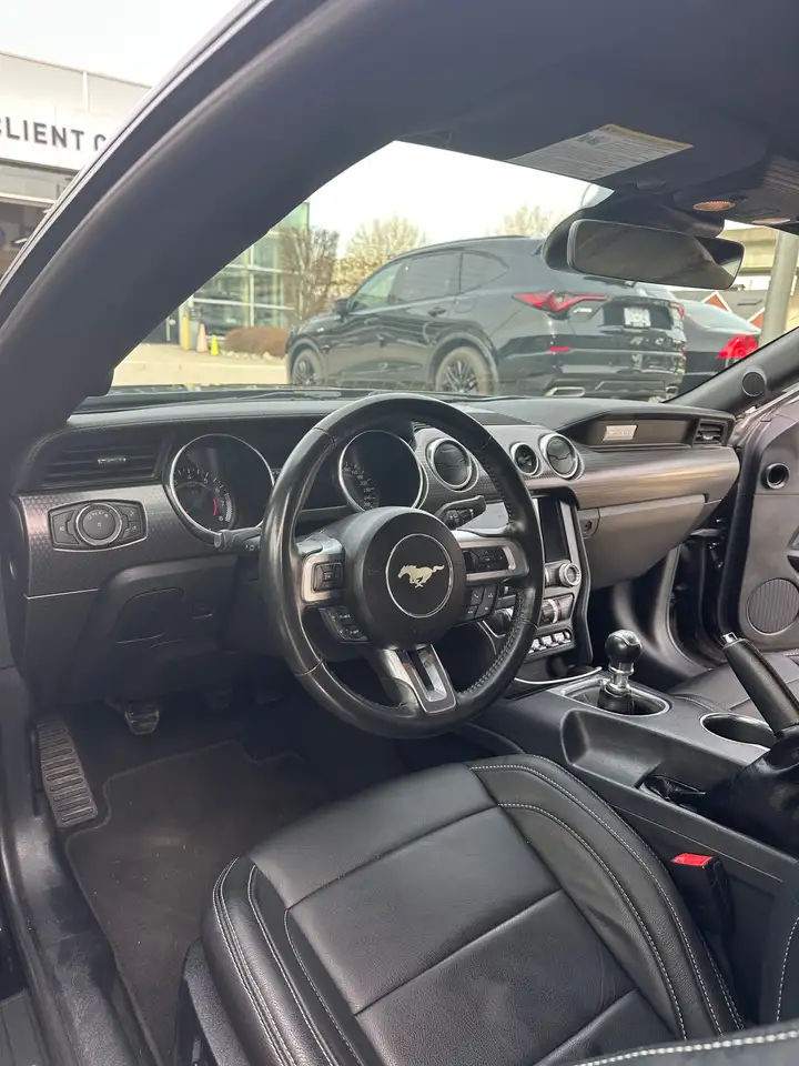 Ford Mustang - Image 11