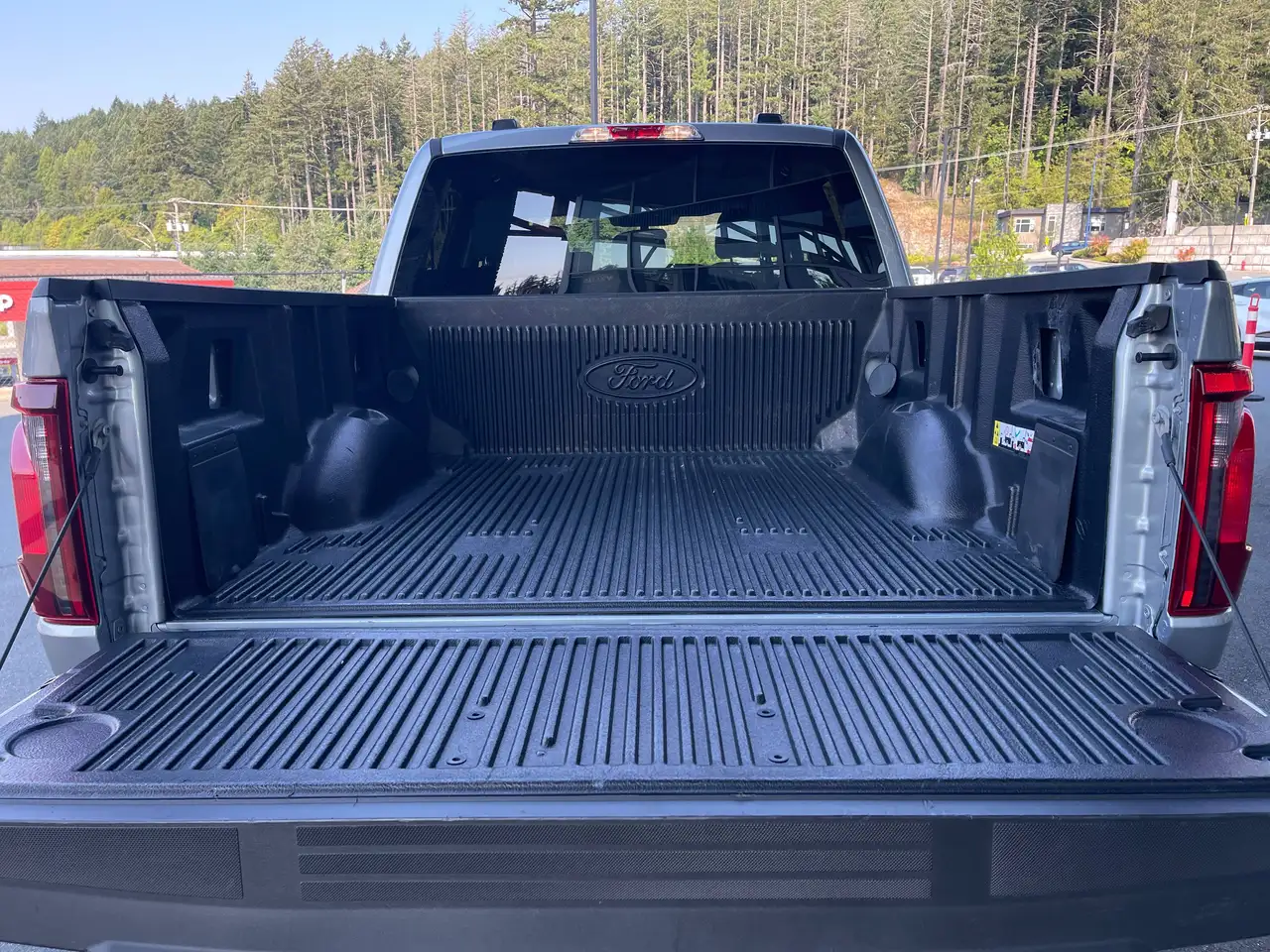 Ford F-150 - Image 32
