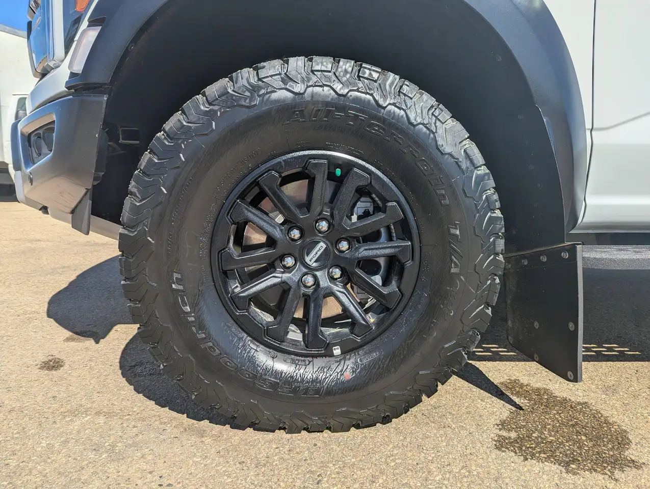 Ford F-150 - Image 19