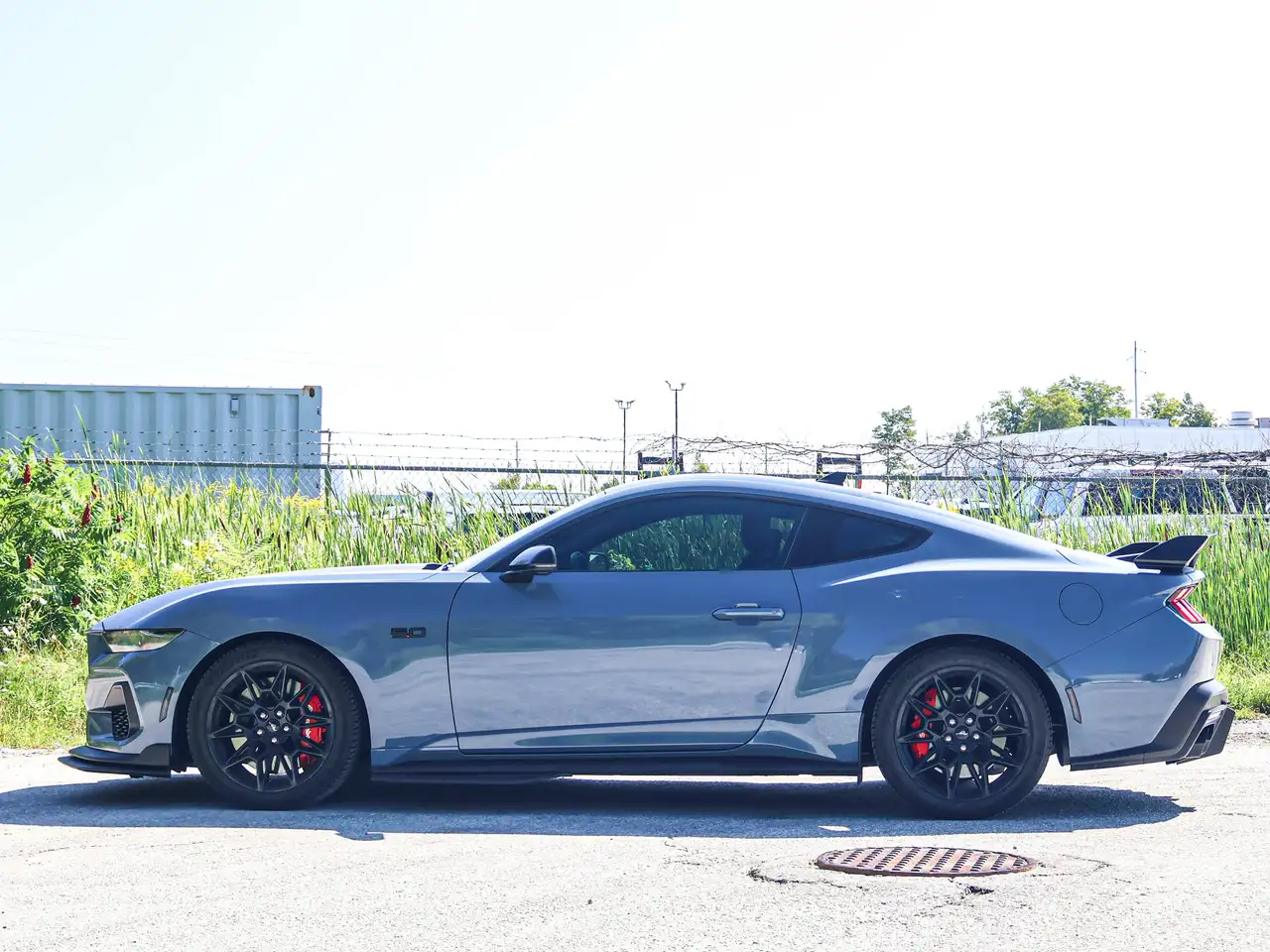 Ford Mustang - Image 12