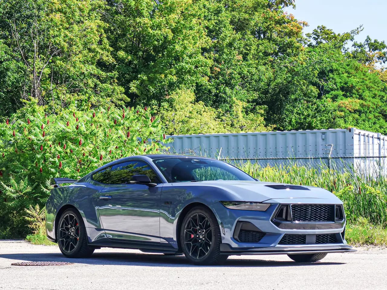 Ford Mustang - Image 4