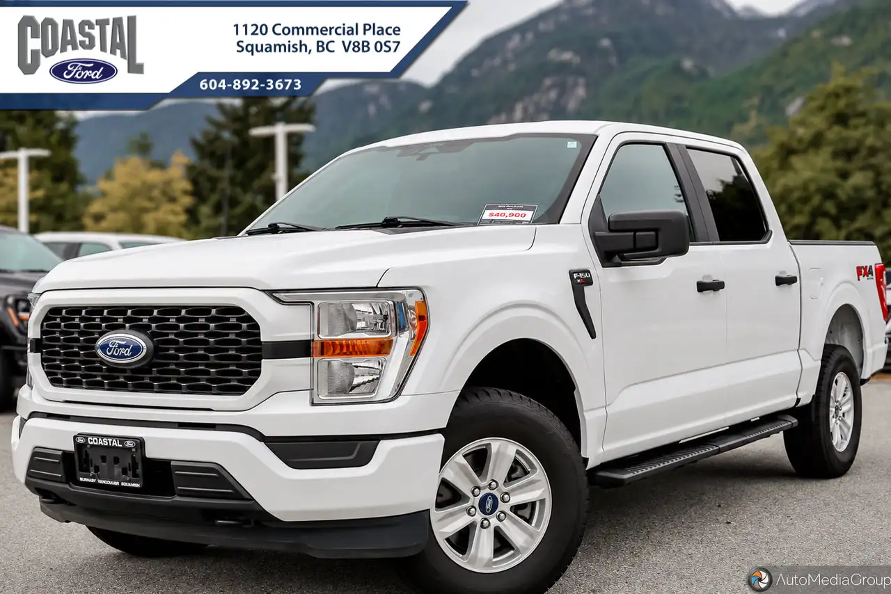 Ford F-150 - Image 1
