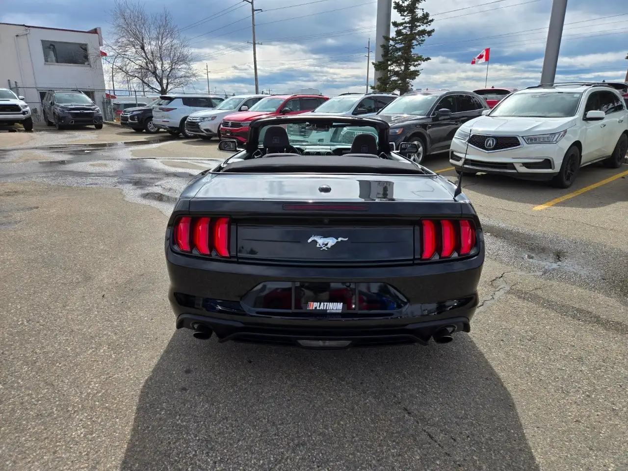 Ford Mustang - Image 6