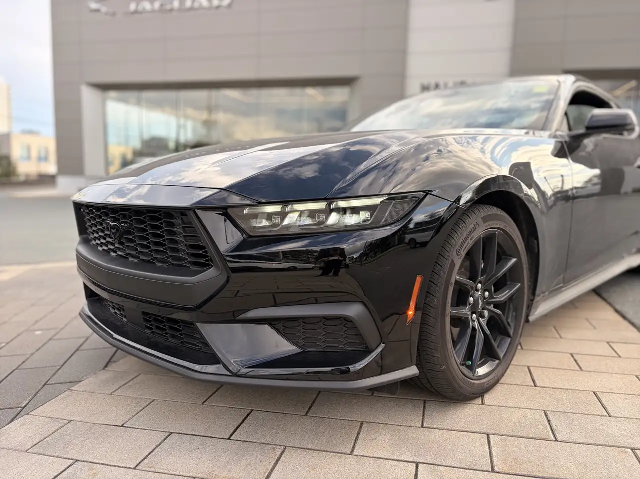 Ford Mustang - Image 2