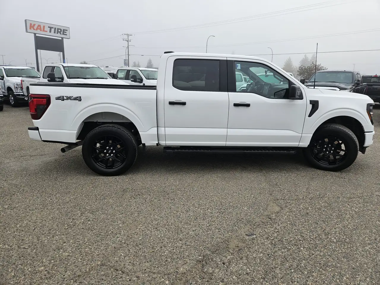 Ford F-150 - Image 4