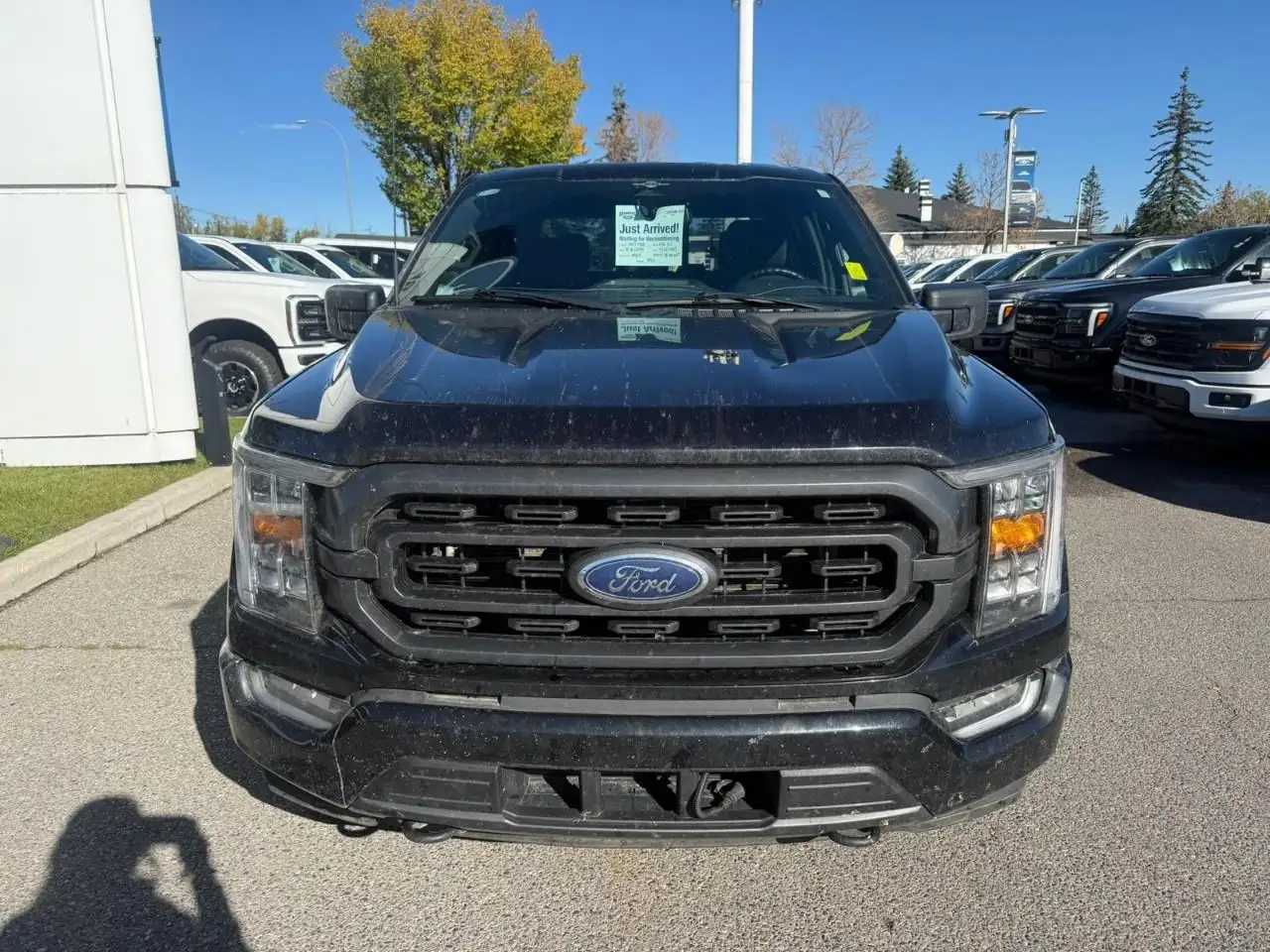 Ford F-150 - Image 4