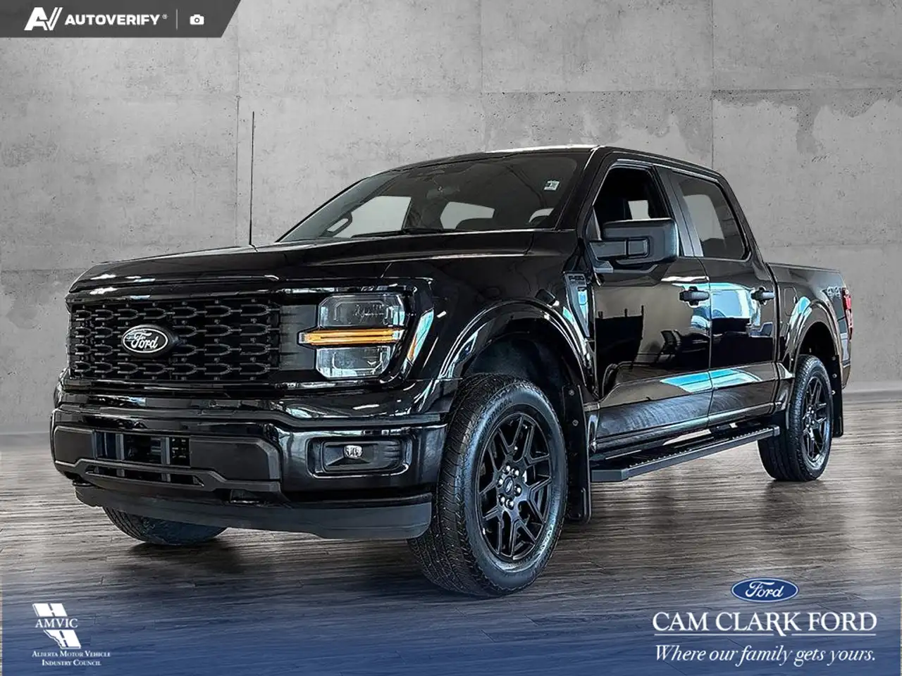 Ford F-150 - Image 1