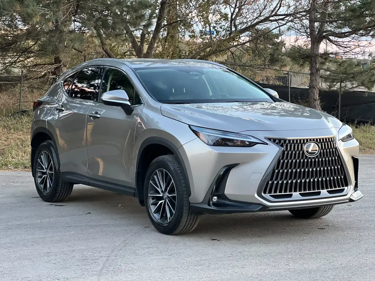 Lexus NX - Image 3