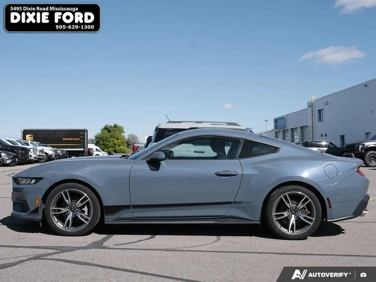 Ford Mustang - Image 3