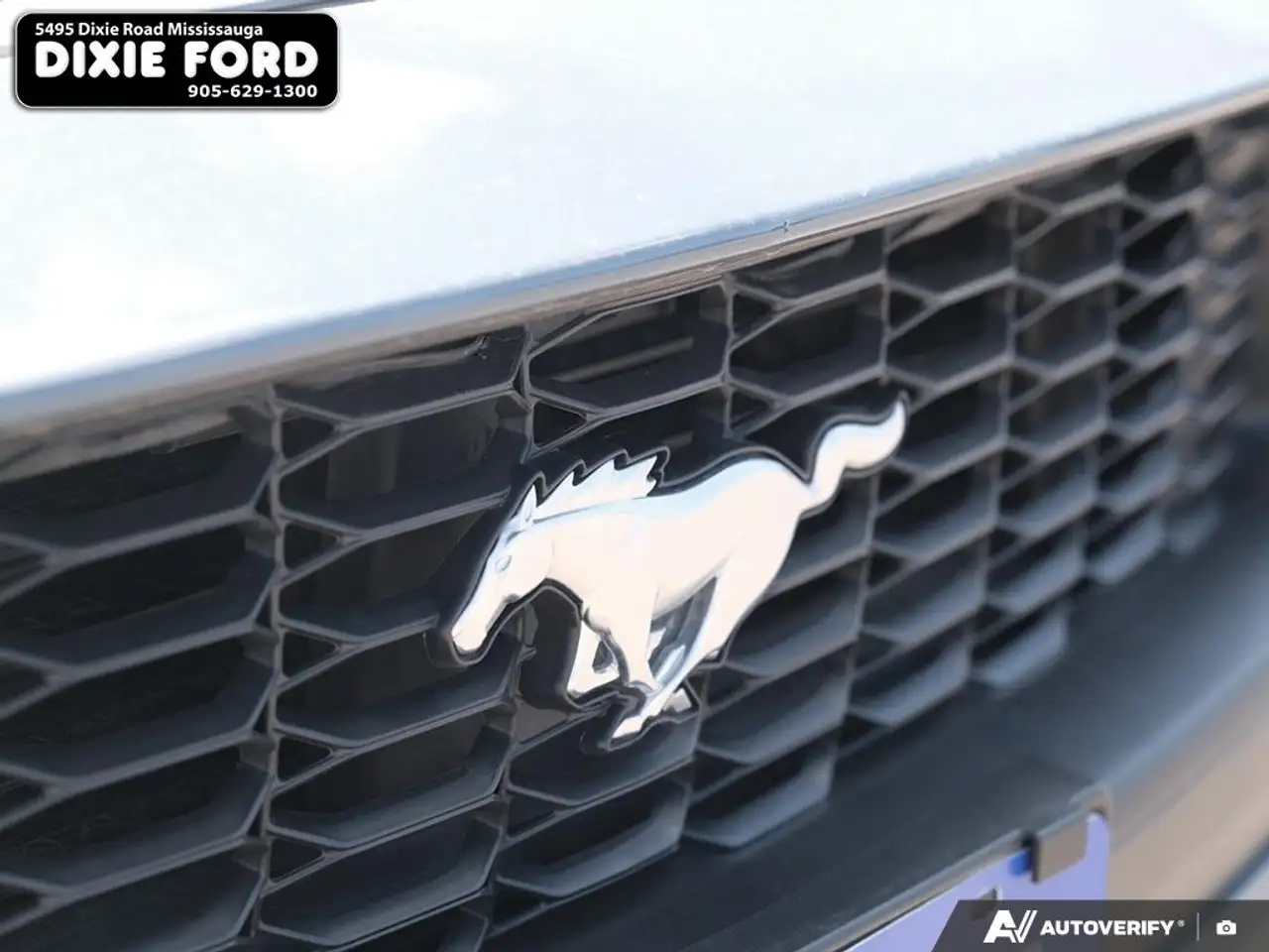 Ford Mustang - Image 9