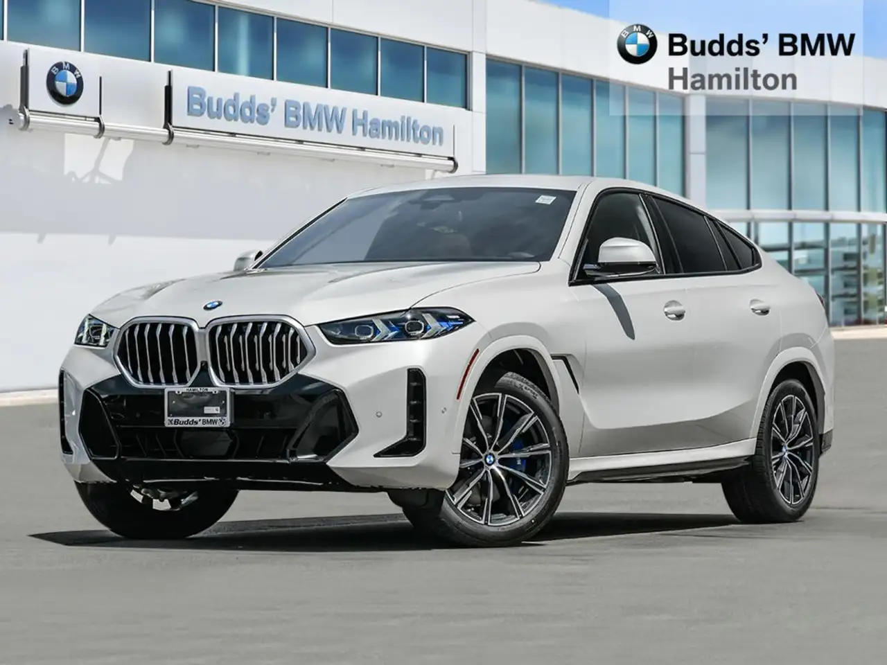 BMW X6 - Image 1