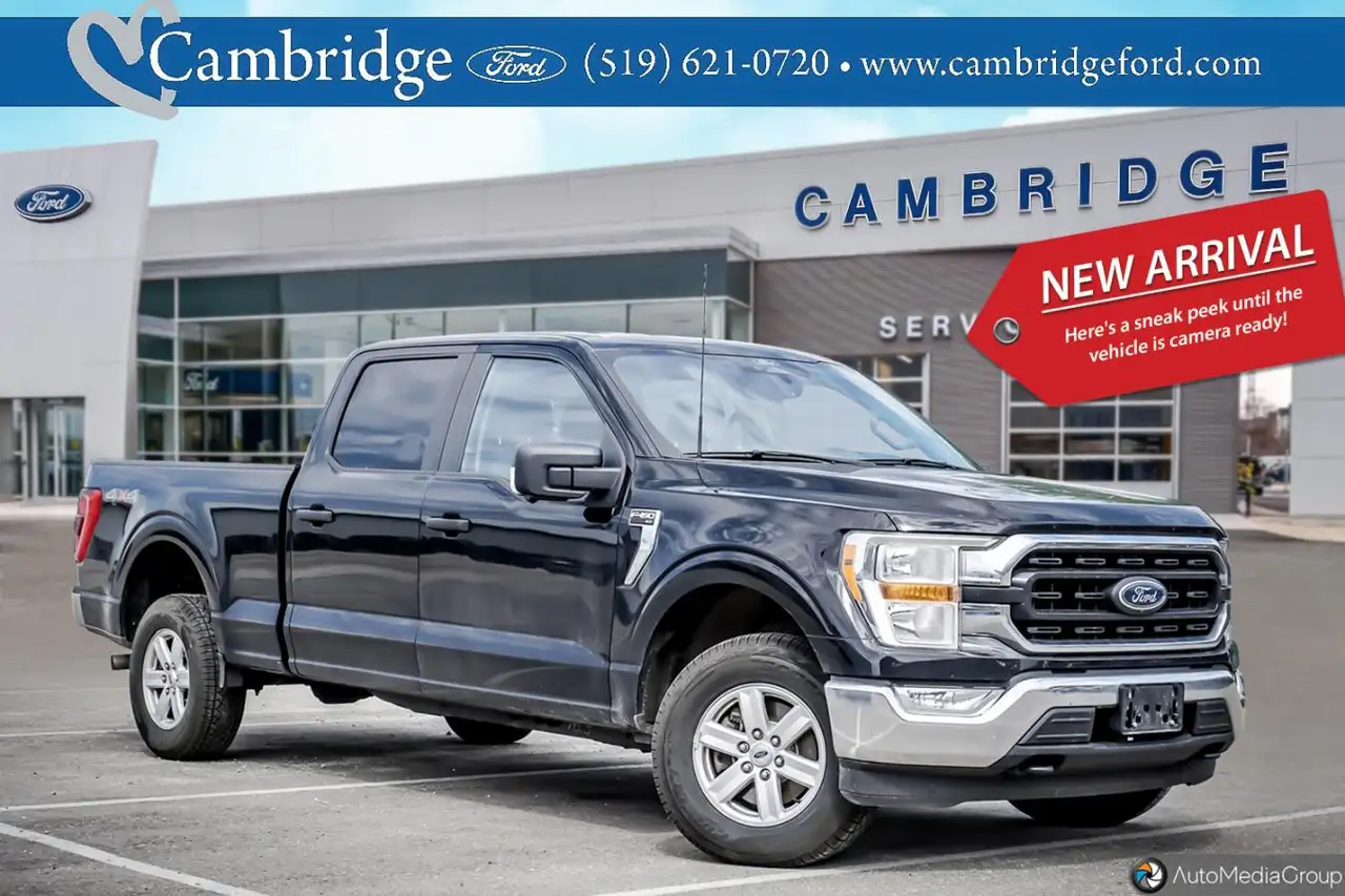 Ford F-150 - Image 1