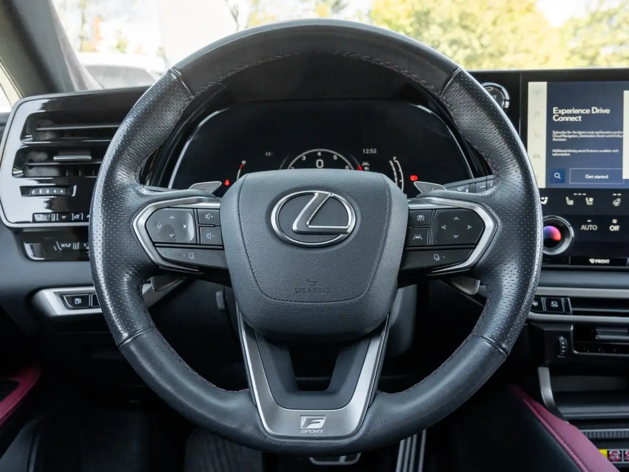 Lexus RX - Image 10