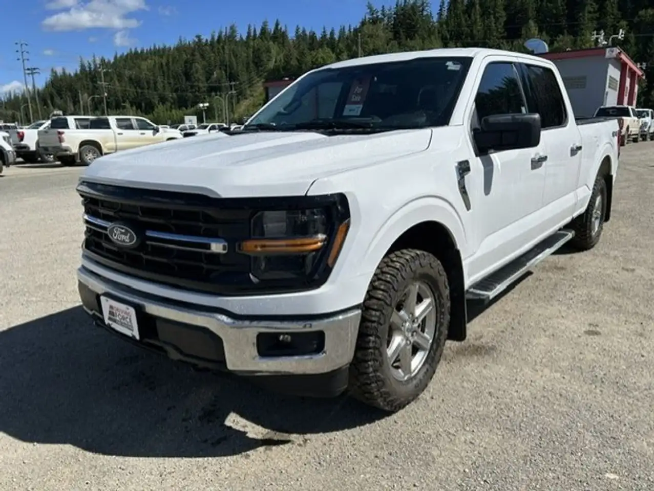 Ford F-150 - Image 1