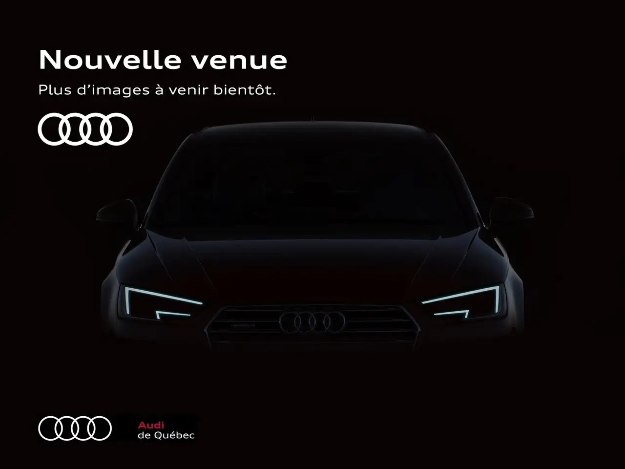 Audi Q5 - Image 29