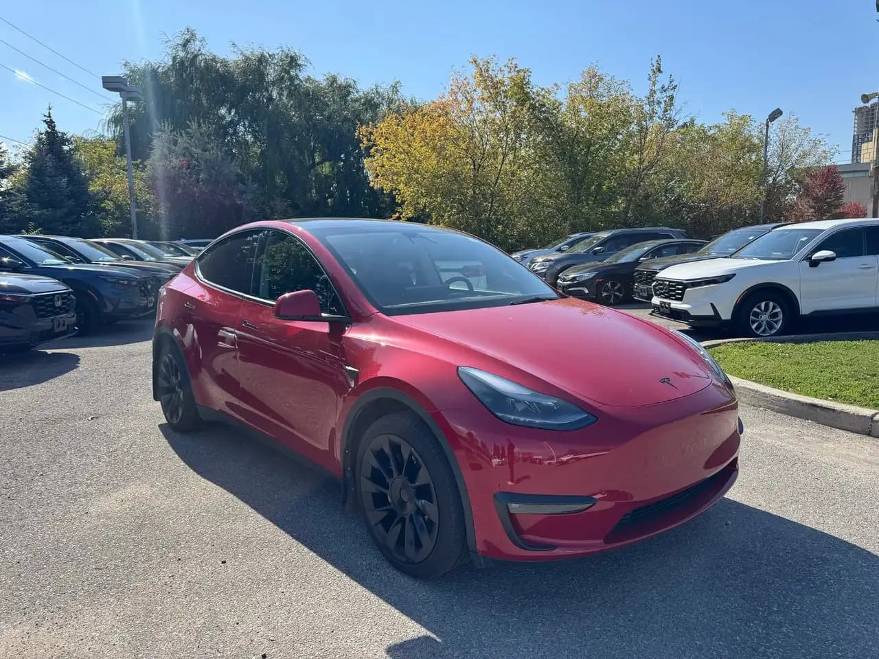 Tesla Model Y - Image 3
