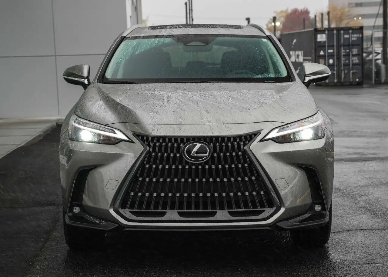 Lexus NX - Image 2