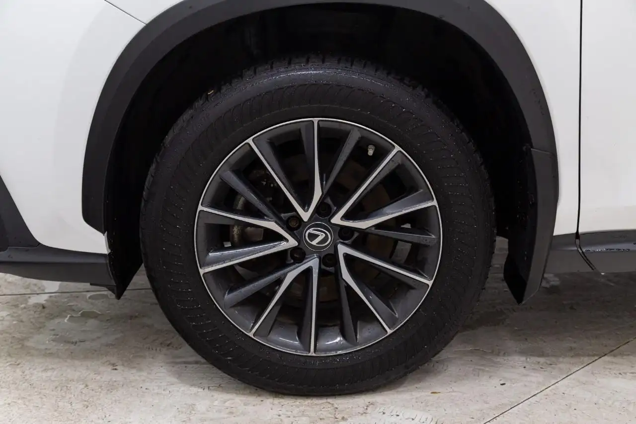 Lexus NX 350h - Image 8