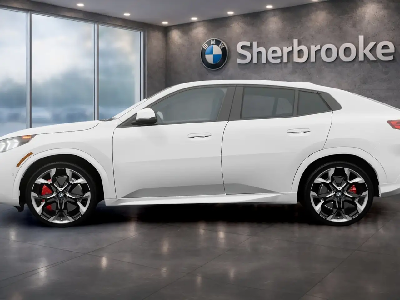 BMW X2 - Image 4