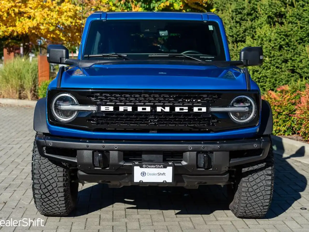 Ford Bronco - Image 2