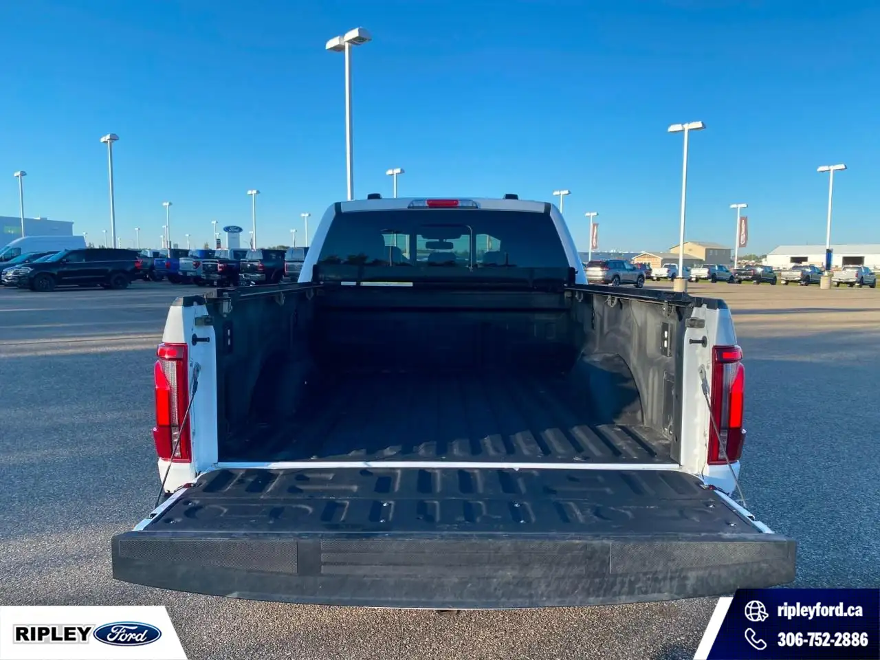 Ford F-150 - Image 9
