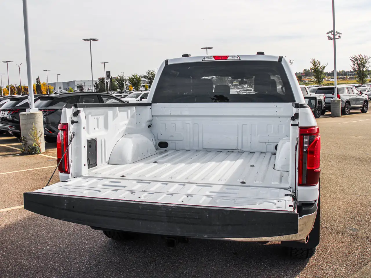 Ford F-150 - Image 8