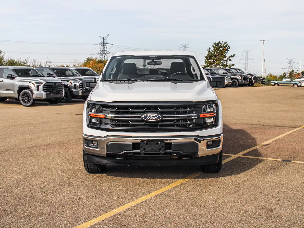 Ford F-150 - Image 3
