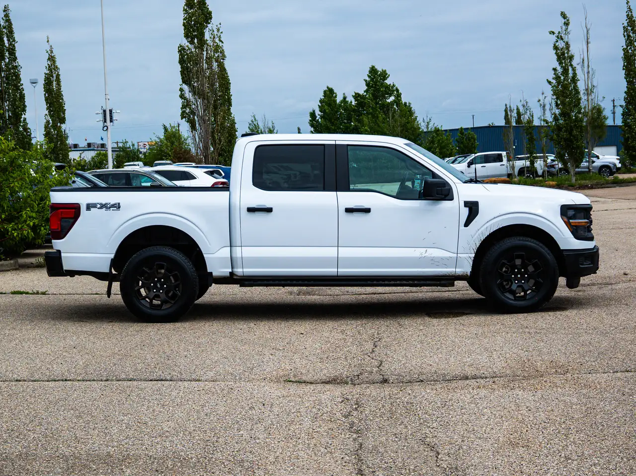 Ford F-150 - Image 14
