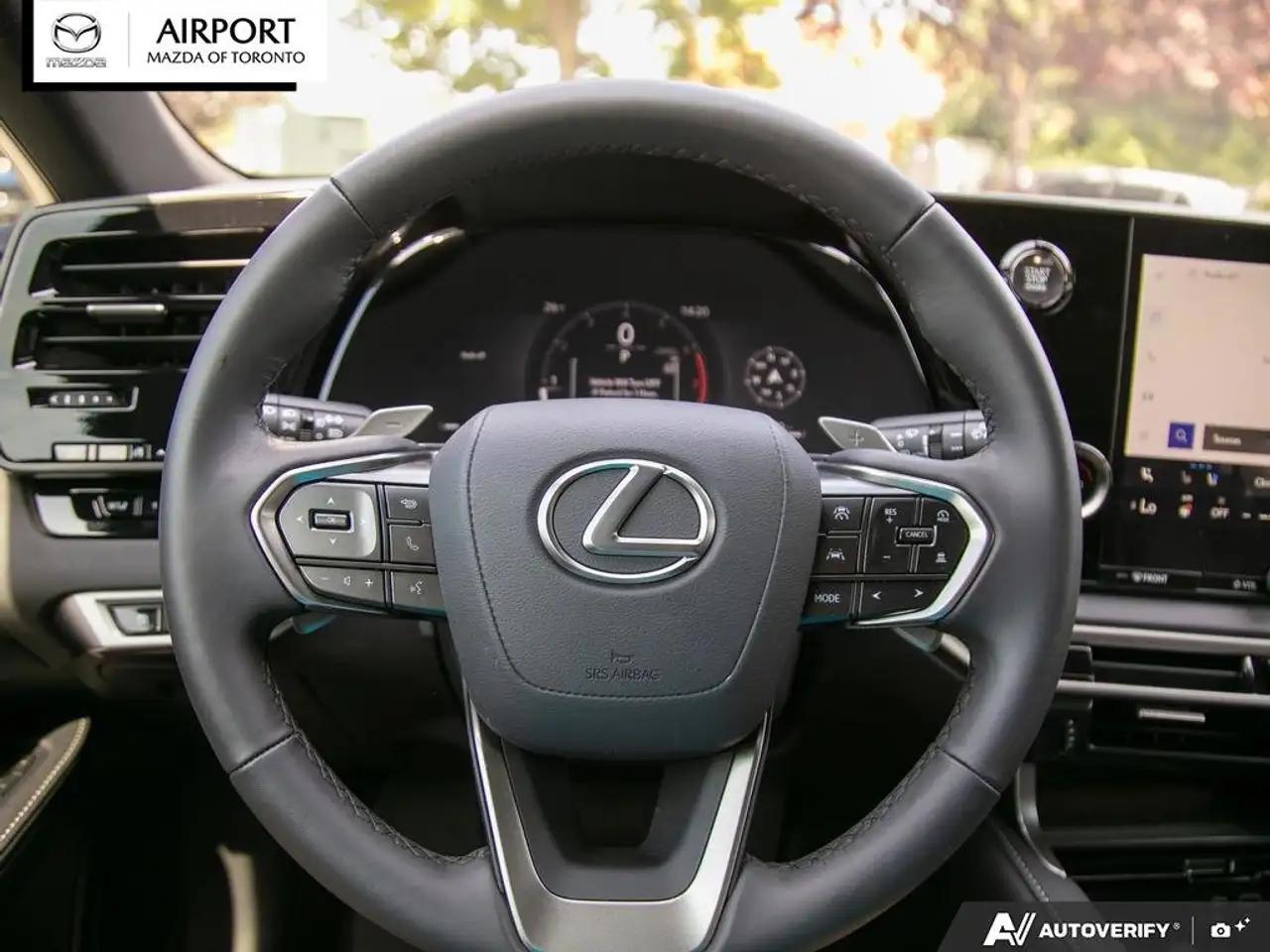 Lexus RX - Image 14
