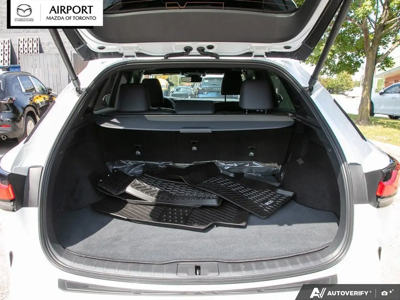 Lexus RX - Image 11
