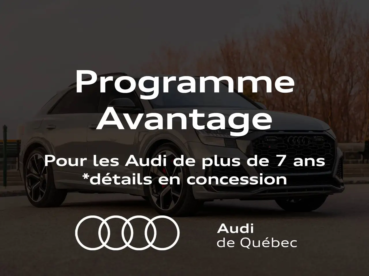 Audi SQ5 - Image 29